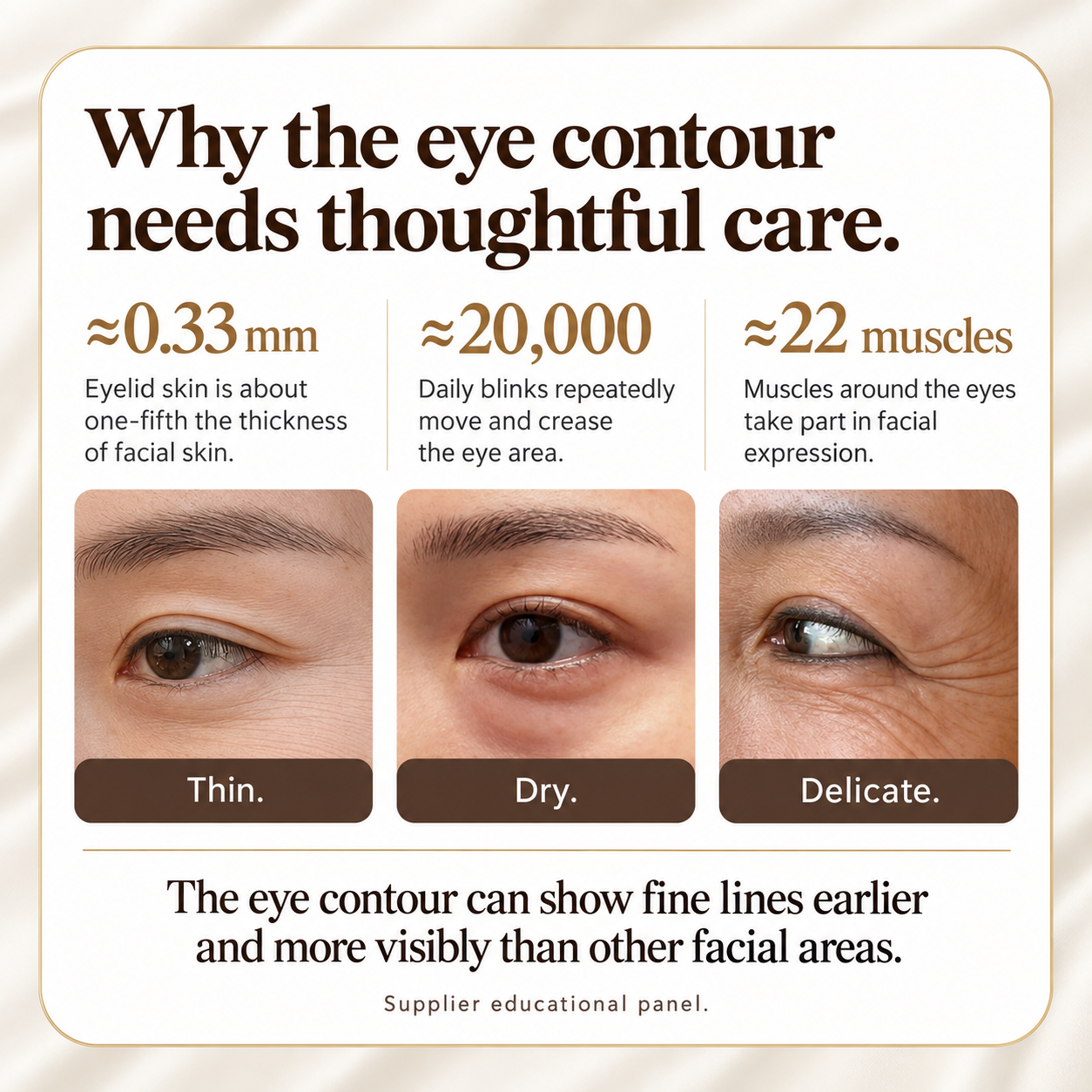 Supplier educational panel explaining the thin, frequently moving, delicate skin around the eye contour